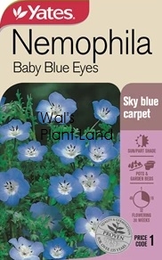 NEMOPHILA BABY BLUE EYES NZ SEED PACKET