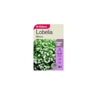 LOBELIA BLANCA SEED PACKET