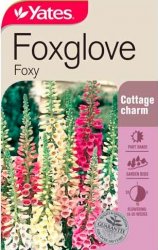 FOXGLOVE FOXY SEED PACKET