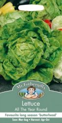 LETTUCE ALL YEAR ROUND SEED PACKET