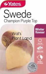 SWEDE CHAMPION PURPLE TOP SEED PACKET