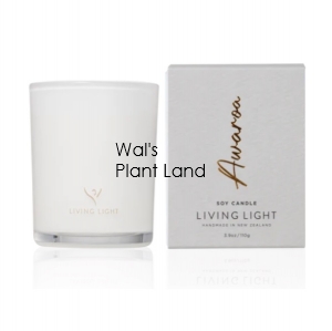 AWAROA SOY CANDLE MINI LIVING LIGHT