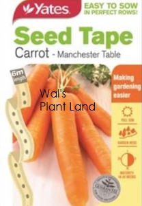 SEED TAPE CARROT MANCHESTER SEED PACKET