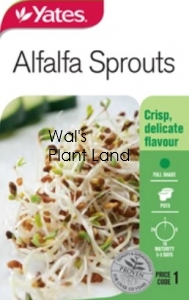 ALFALFA NZ SEED PACKET