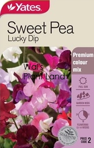 SWEET PEA LUCKY DIP SEED PACKET