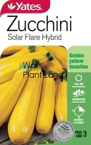 ZUCCHINI SOLAR FLARE SEED PACKET