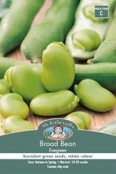 BROAD BEAN EVERGREEN NZ SEED PACKET