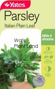 PARSLEY ITALIAN PLAIN LEAF SEED PACKET