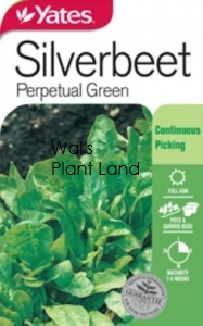 SILVERBEET PERPETUAL GREEN SEED PACKET