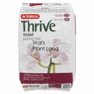 THRIVE ORCHID POTTING MIX 6L