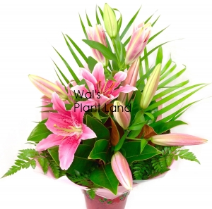 BOUQUET SENSATIONAL LILIES