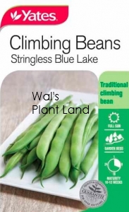 BEAN CLIMBING BLUE LAKE SEED PACKET