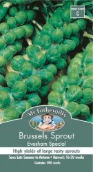 BRUSSEL SPROUT EVESHAM SPECIAL SEED PACKET