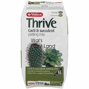 THRIVE CACTI & SUCCULENT MIX