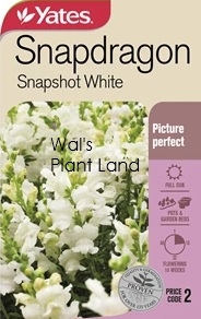 SNAPDRAGON SNAPSHOT WHITE NZ SEED PACKET