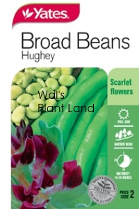 BROAD BEAN HUGHEY SEED PACKET