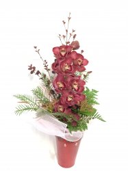 EXQUISITE ORCHID BURGUNDY