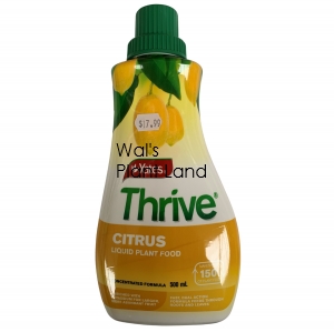 THRIVE LIQUID CONCENTRATE CITRUS 500ML