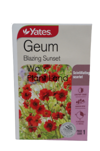 GEUM BLAZING SUNSET SEED PACKET