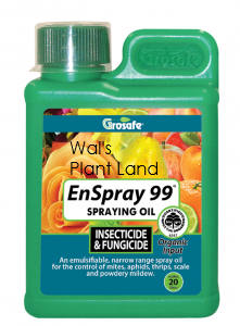 GROSAFE ENSPRAY 500ML