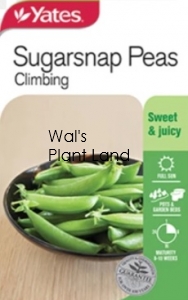 PEAS CLIMBING SUGARSNAP NZ SEED PACKET