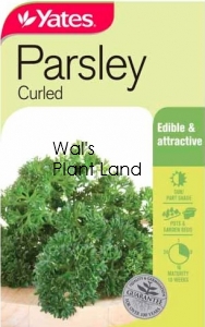 PARSLEY CURLED SEED PACKET