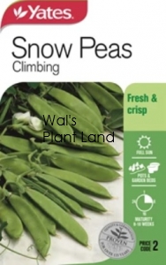 PEAS SNOW NZ SEED PACKET