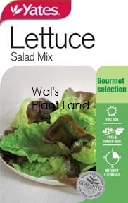 LETTUCE SALAD MIX SEED PACKET