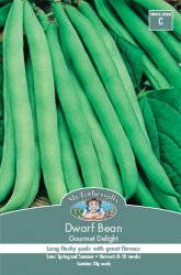 DWARF BEAN GOURMET DELIGHT SEED PACKET