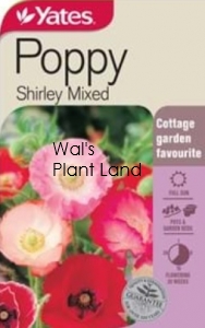 POPPY SHIRLEY MIXED SEED PACKET