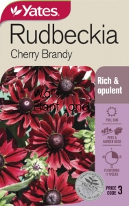 RUDBECKIA CHERRY BRANDY SEED PACKET