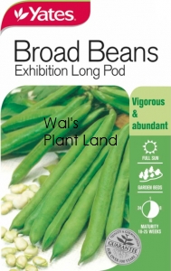 BROAD BEANS EXHIBITION NZ SEED PACKET