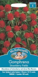 GOMPHRENA STRAWBERRY FIELDS SEED PACKET