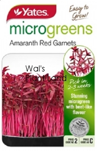 MICROGREEN AMARANTH RED GARNET SEED PACKET