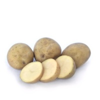 POTATOES SEED MOONLIGHT 3KG BAG