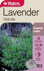 LAVENDER HIDCOTE SEED PACKET