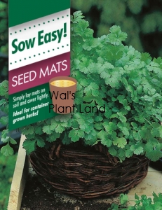 CORIANDER SEED MAT