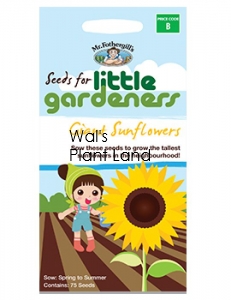 GIANT SUNFLOWERS LITTLE GARDENERS SEED PACKET