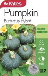 PUMPKIN BUTTERCUP SEED PACKET