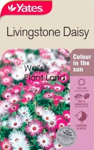 LIVINGSTONE DAISY NZ SEED PACKET