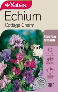 ECHIUM COTTAGE CHARM SEED PACKET