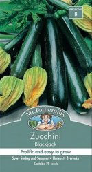 ZUCCHINI BLACKJACK SEED PACKET