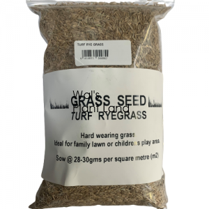 TURF RYE GRASS 1KG