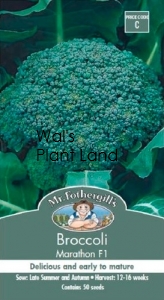 BROCCOLI MARATHON F1 SEED PACKET