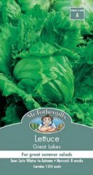 LETTUCE GREAT LAKES SEED PACKET