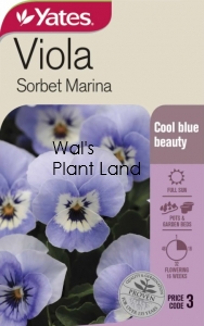 VIOLA SORBET MARINA NZ SEED PACKET