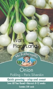 ONION PARIS SILVERSKIN SEED PACKET