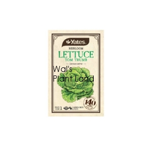 HEIRLOOM LETTUCE TOM THUMB SEED PACKET