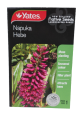 NATIVE HEBE SEED PACKET