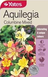 AQUILEGIA COLUMBINE SEED PACKET